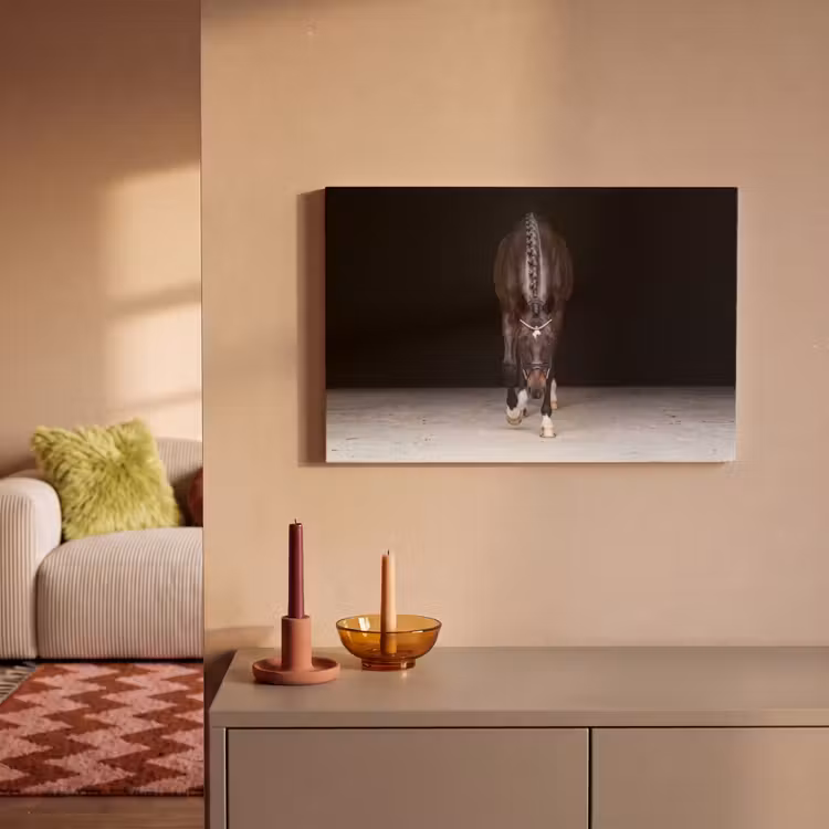 Paard - Modern - Portret canvas 2cm klein -sfeer1