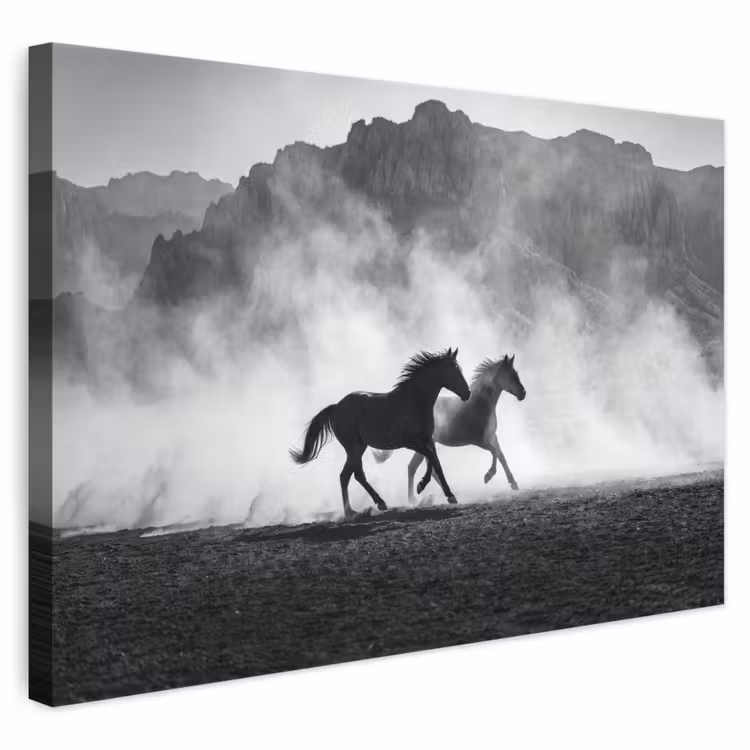 Paard - Ren - Stof - Zwart-wit - Dieren canvas 2cm klein -3d
