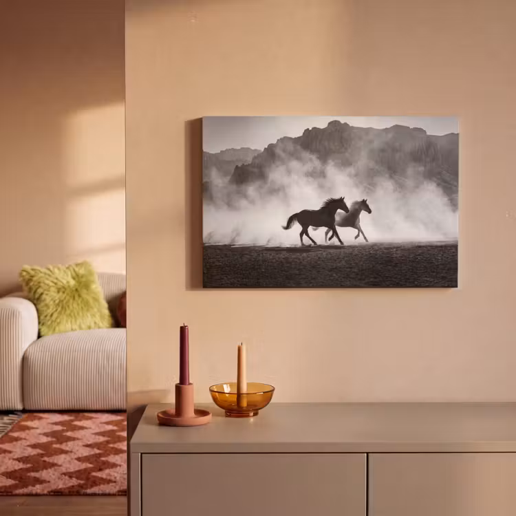 Paard - Ren - Stof - Zwart-wit - Dieren canvas 2cm klein -sfeer1