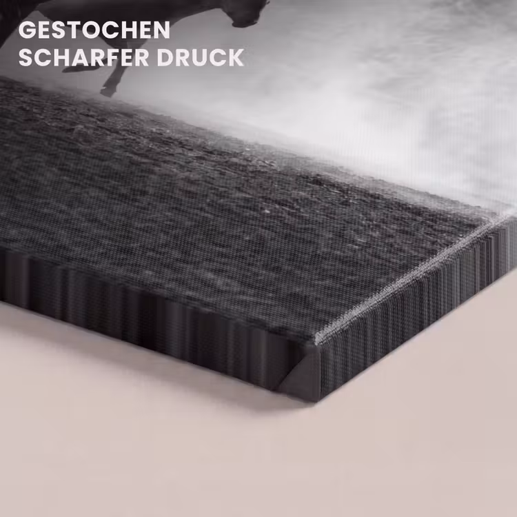 Paard - Ren - Stof - Zwart-wit - Dieren canvas 2cm klein -closeup_print_DE