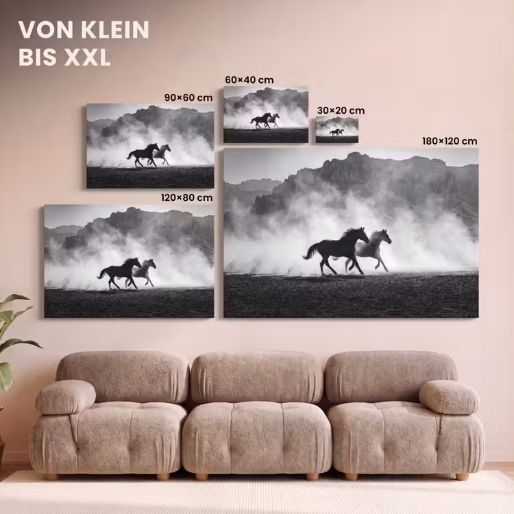 Paard - Ren - Stof - Zwart-wit - Dieren canvas 2cm klein -Xsfeer8_DE