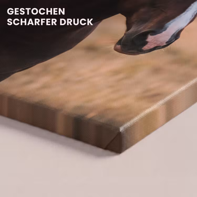 Paard - Zonsondergang - Bruin canvas 2cm klein -uniquesellingpoint_afwerking-onlywow_DE