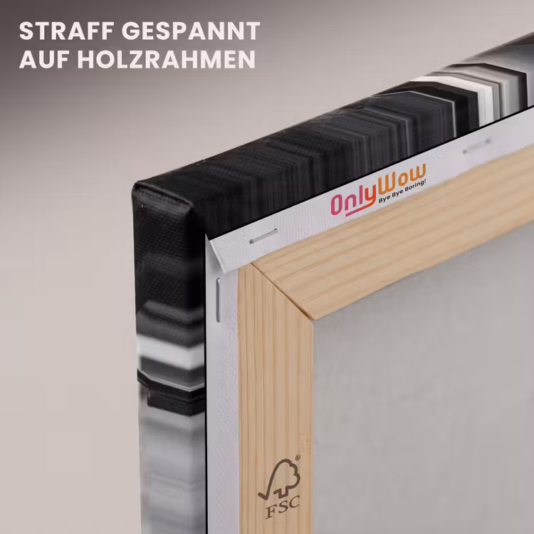 Paard - Sport - Zwart - Wit canvas 2cm klein -uniquesellingpoint_afwerking-onlywow_DE