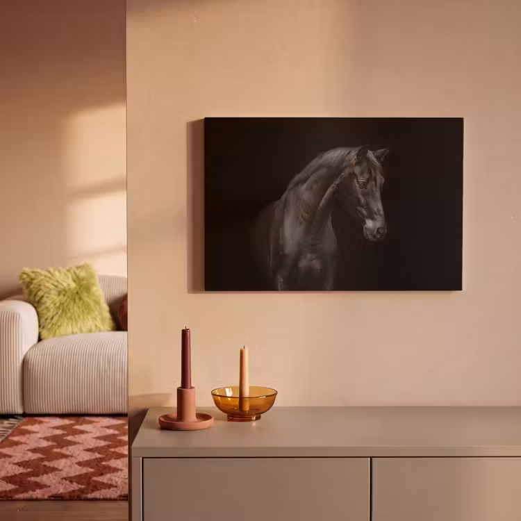 Paard - Dieren - Zwart - Portret canvas 2cm klein -sfeer1