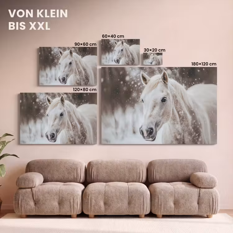 Paard - Wit - Winter - Natuur - Sneeuw - Dieren canvas 2cm klein -Xsfeer8_DE