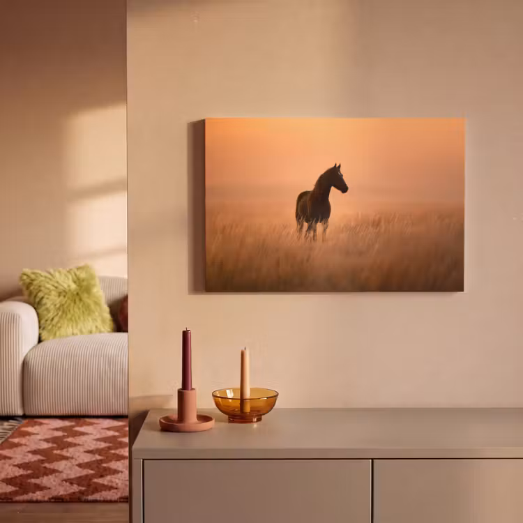 Paard - Grasveld - Zonsondergang canvas 2cm klein -sfeer1