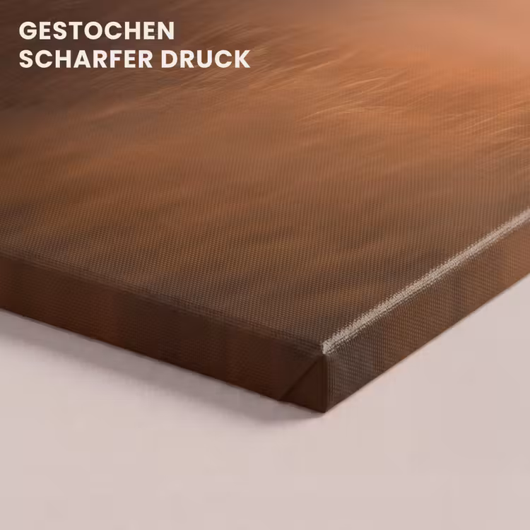 Paard - Grasveld - Zonsondergang canvas 2cm klein -closeup_print_DE