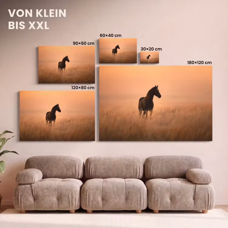 Paard - Grasveld - Zonsondergang canvas 2cm klein -Xsfeer8_DE