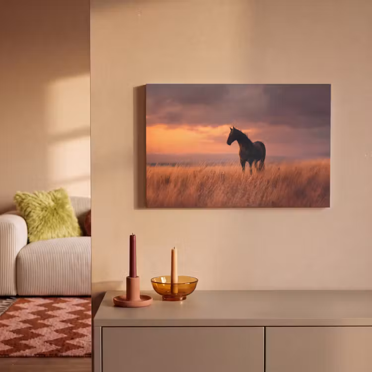 Paard - Wolken - Open veld canvas 2cm klein -sfeer1