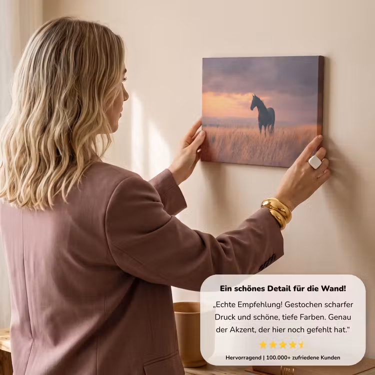 Paard - Wolken - Open veld canvas 2cm klein -sfeer3