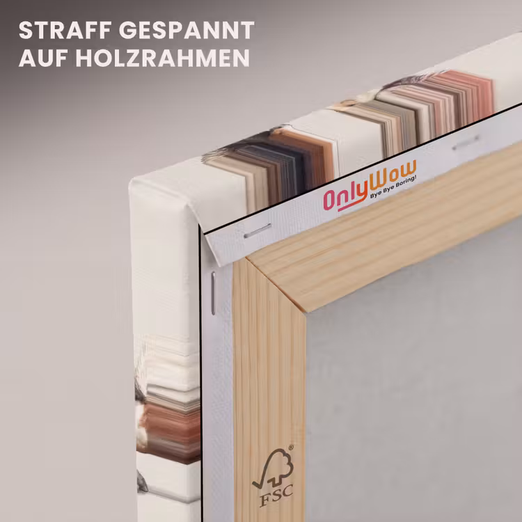 Paarden - Vleugels - Kleurrijk canvas 2cm klein 34 -uniquesellingpoint_afwerking-onlywow_DE