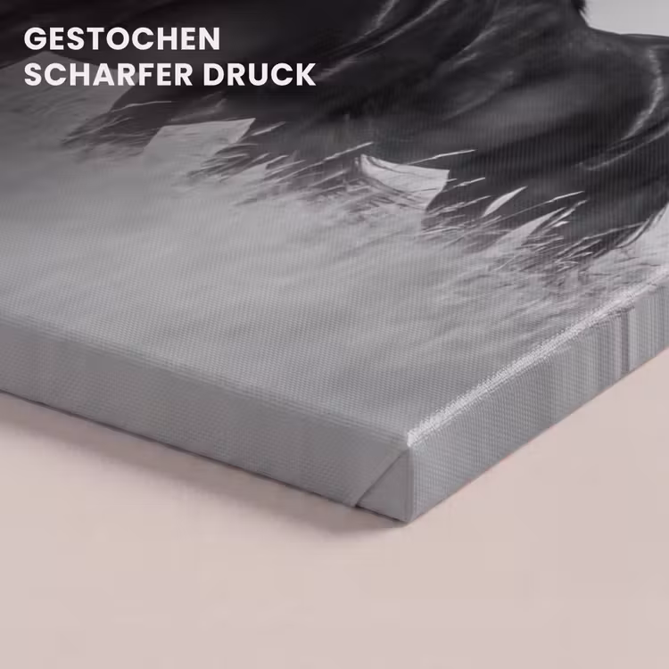Paarden - Gras - Zwart - Wit canvas 2cm klein -uniquesellingpoint_afwerking-onlywow_DE