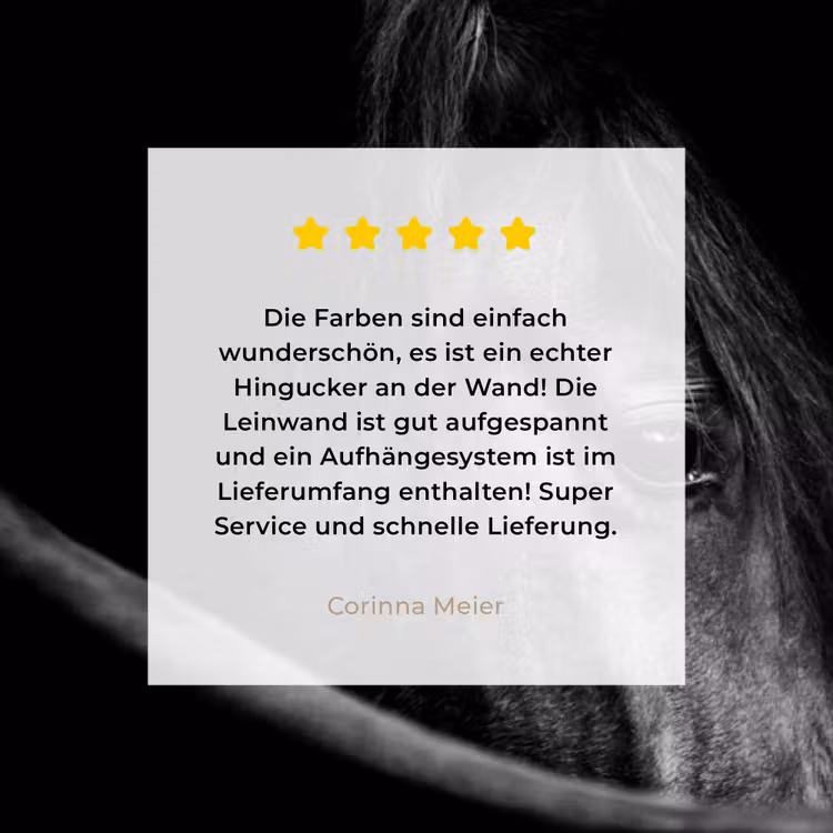 Paarden - Portret - Zwart - Dieren canvas 2cm klein -sfeer3