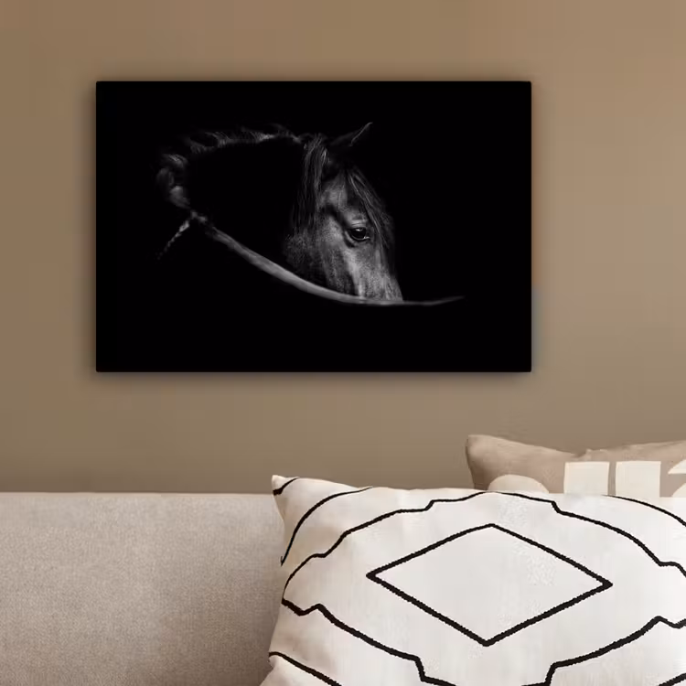 Paarden - Portret - Zwart - Dieren canvas 2cm klein -sfeer6