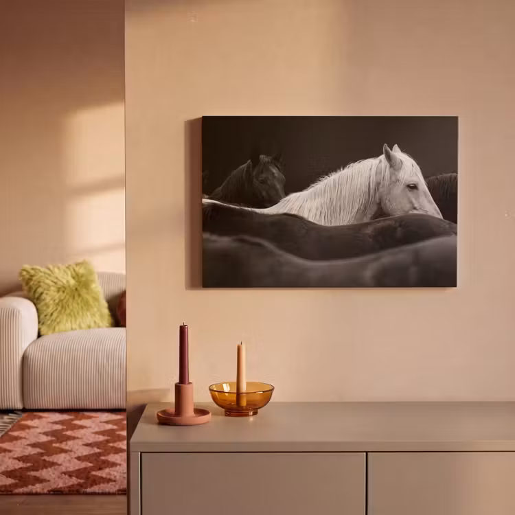 Paarden - Zwart - Wit - Kudde canvas 2cm klein -sfeer1