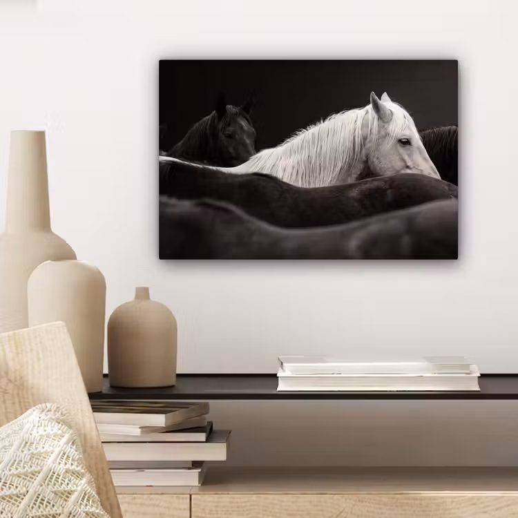 Paarden - Zwart - Wit - Kudde canvas 2cm klein -closeup_print_DE