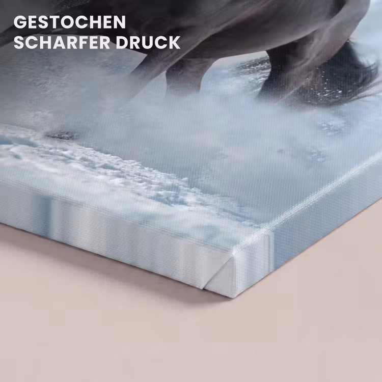 Paarden - Winter - Dieren - Natuur - Sneeuw canvas 2cm klein -uniquesellingpoint_afwerking-onlywow_DE