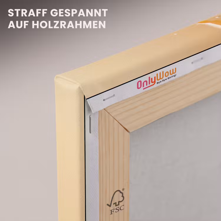 Peach - Eten - Taart - Oranje canvas 2cm klein -uniquesellingpoint_afwerking-onlywow_DE