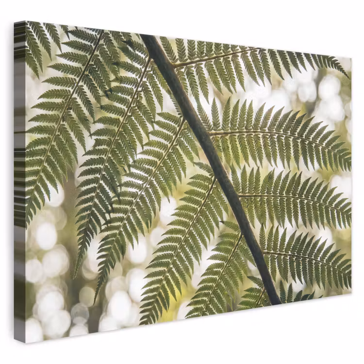Plant - Blad - Natuur - Groen - Detail canvas 2cm klein -3d