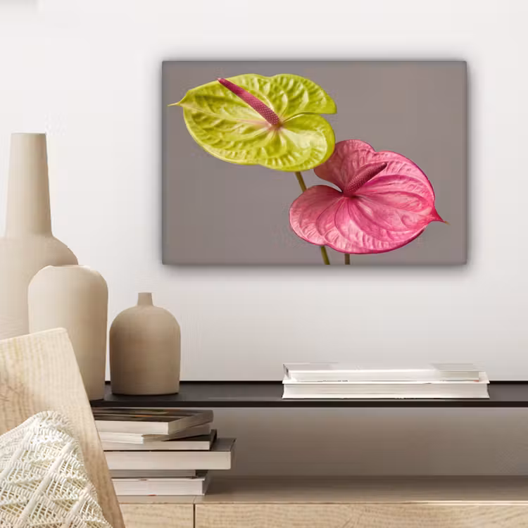Planten - Anthurium - Groen - Roze canvas 2cm klein -sfeer6