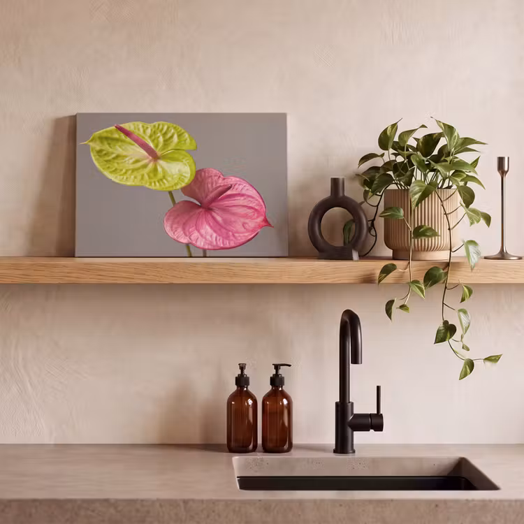 Planten - Anthurium - Groen - Roze canvas 2cm klein -closeup_print_DE