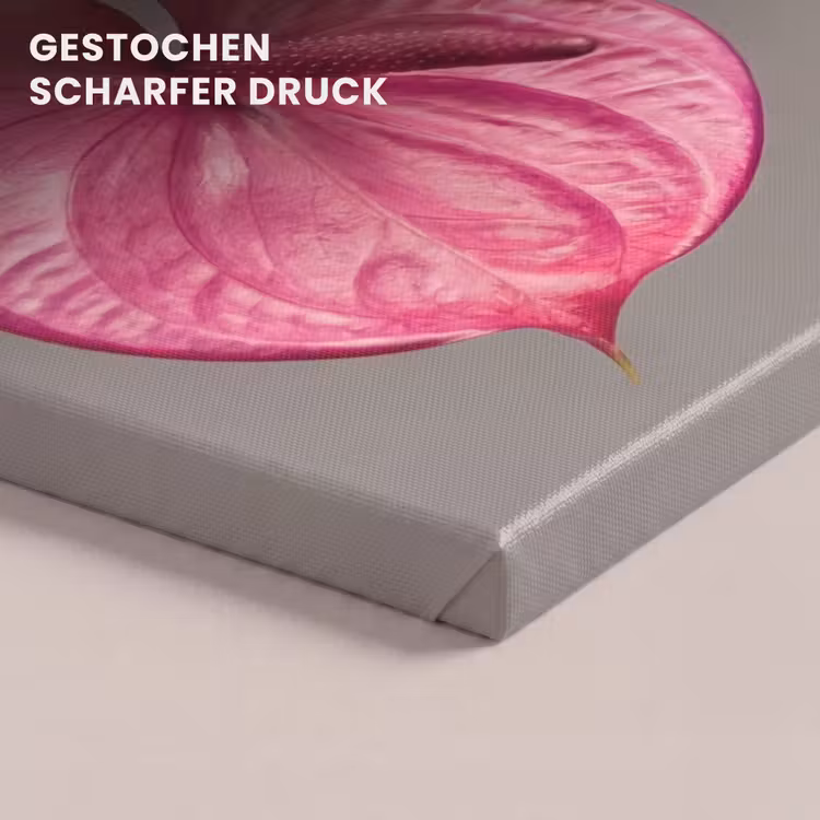 Planten - Anthurium - Groen - Roze canvas 2cm klein -uniquesellingpoint_afwerking-onlywow_DE