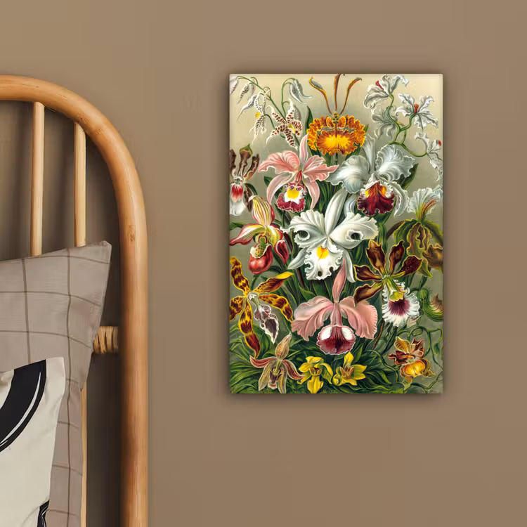 Planten - Natuur - Bloemen - Ernst Haeckel canvas 2cm klein -sfeer3
