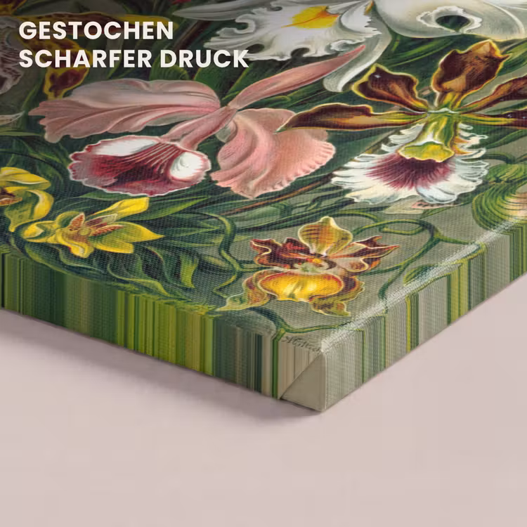Planten - Natuur - Bloemen - Ernst Haeckel canvas 2cm klein -closeup_print_DE