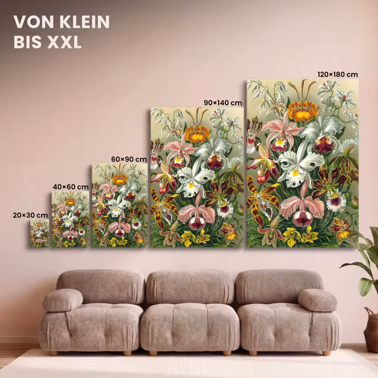 Planten - Natuur - Bloemen - Ernst Haeckel canvas 2cm klein -Xsfeer8_DE