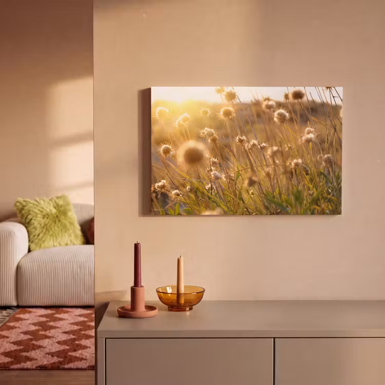 Planten - Natuur - Bloemen - Zon - Horizon canvas 2cm klein -sfeer1