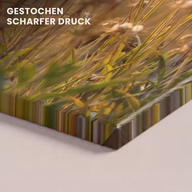 Planten - Natuur - Bloemen - Zon - Horizon canvas 2cm klein -uniquesellingpoint_afwerking-onlywow_DE
