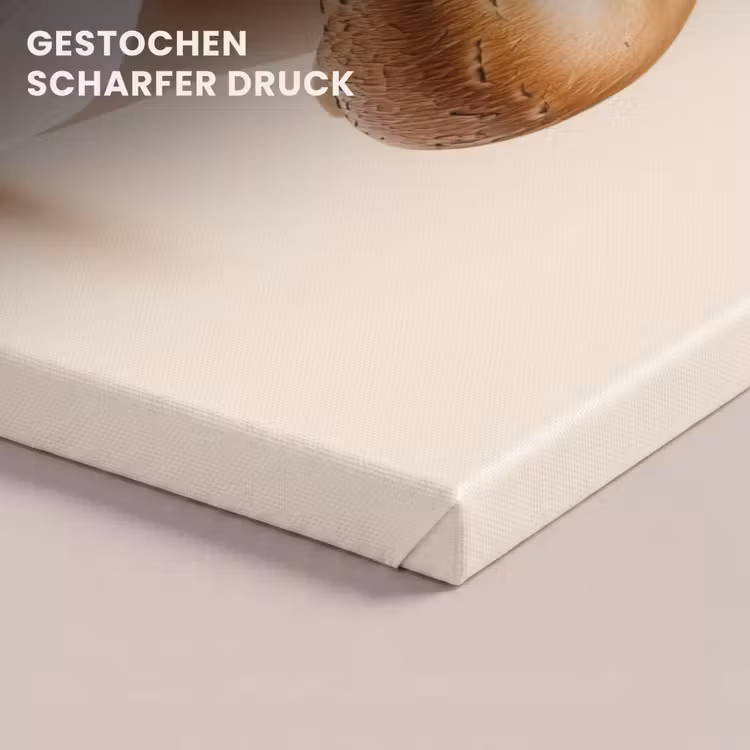 Champignons - Zacht - Beige canvas 2cm klein -closeup_print_DE