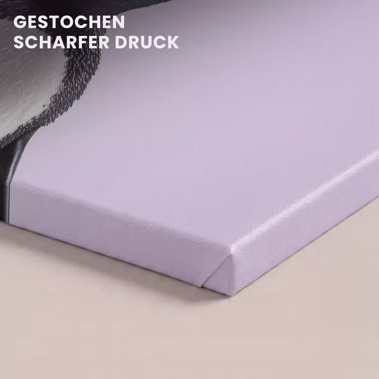 Pinguïn - Koksmuts - Lief - Paars canvas 2cm klein -closeup_print_DE