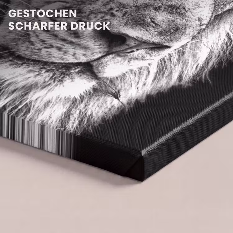 Portret - Leeuw - Zwart wit canvas 2cm klein -closeup_print_DE