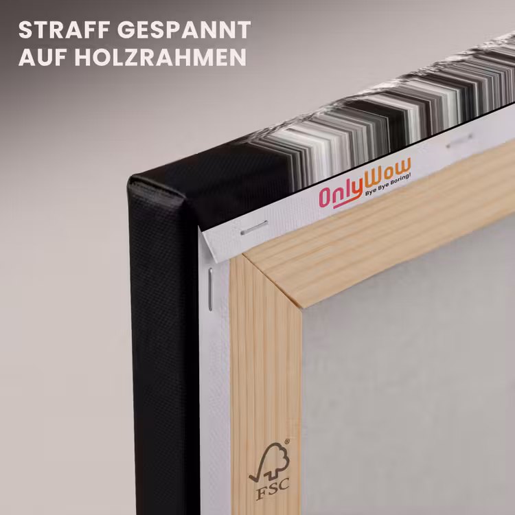 Portret - Leeuw - Zwart wit canvas 2cm klein -uniquesellingpoint_afwerking-onlywow_DE