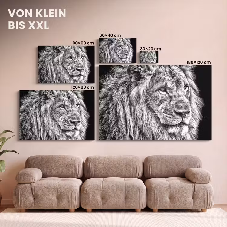 Portret - Leeuw - Zwart wit canvas 2cm klein -Xsfeer8_DE