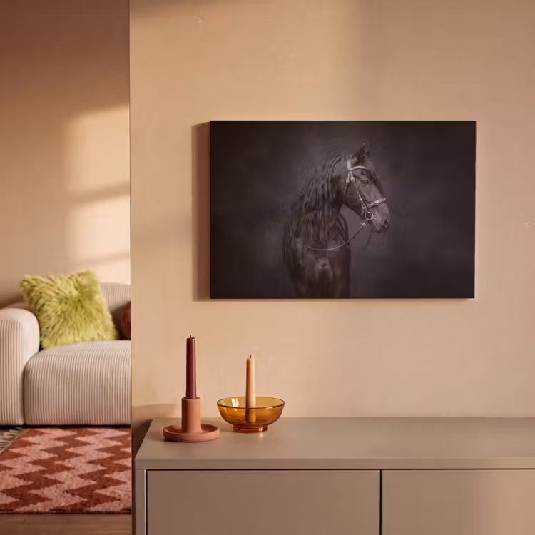 Portret - Paard - Donker canvas 2cm klein -sfeer1