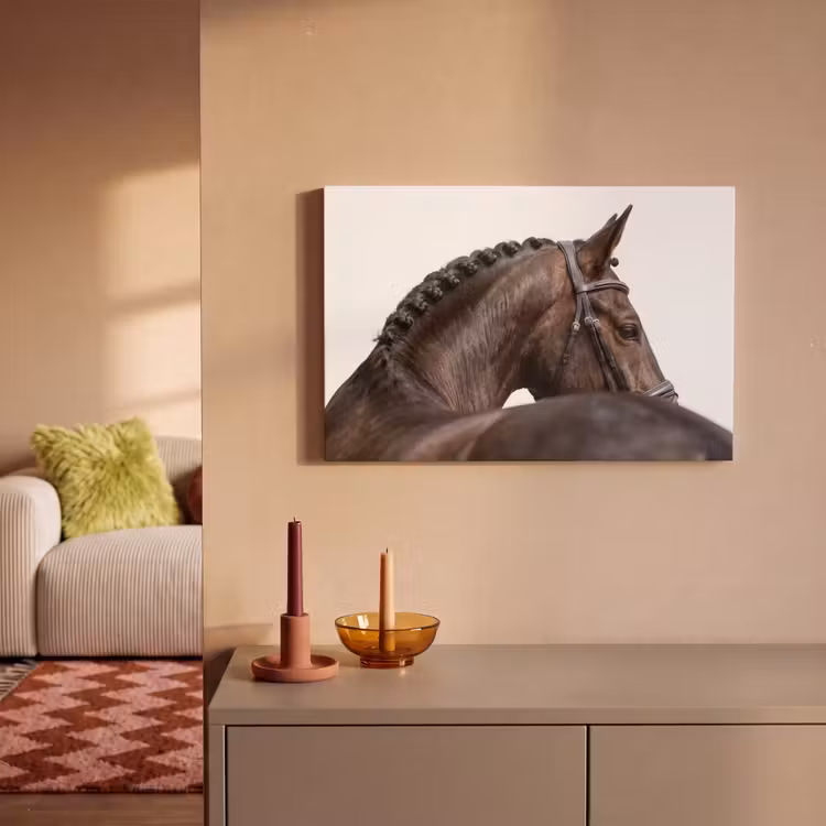 Portret - Paard - Elegant canvas 2cm klein -sfeer1