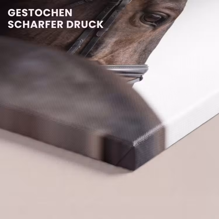 Portret - Paard - Elegant canvas 2cm klein -uniquesellingpoint_afwerking-onlywow_DE