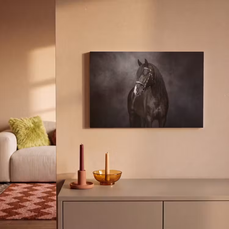 Portret - Paard - Zwart canvas 2cm klein -sfeer1