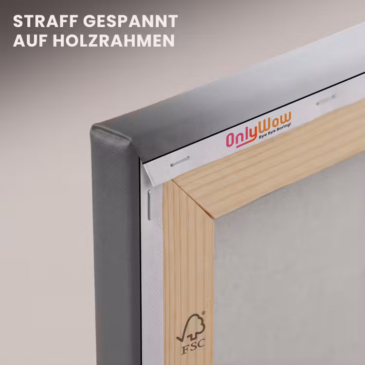 Poedel - Spiegel - Zwart - Wit canvas 2cm klein -uniquesellingpoint_afwerking-onlywow_DE