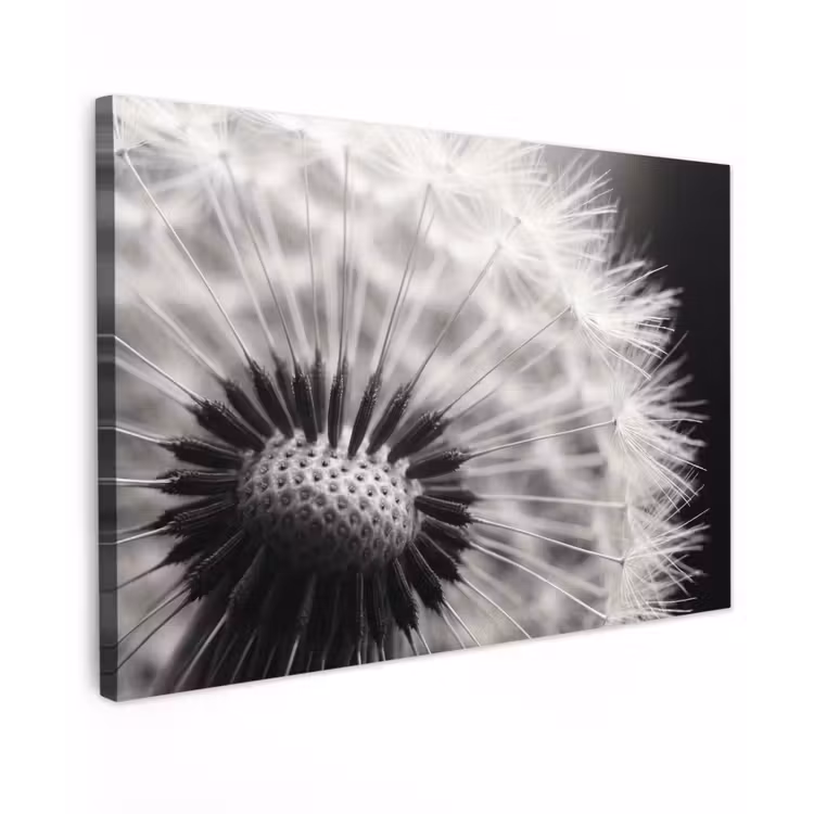 Paardenbloem - Zwart - Wit canvas 2cm klein -z3d