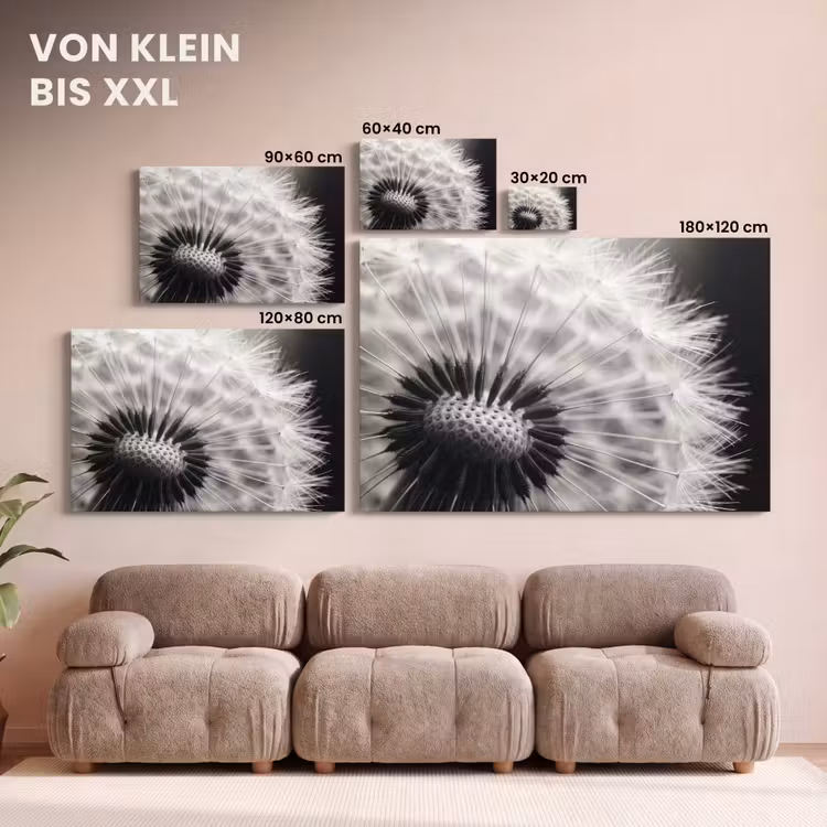 Paardenbloem - Zwart - Wit canvas 2cm klein -Xsfeer8_DE