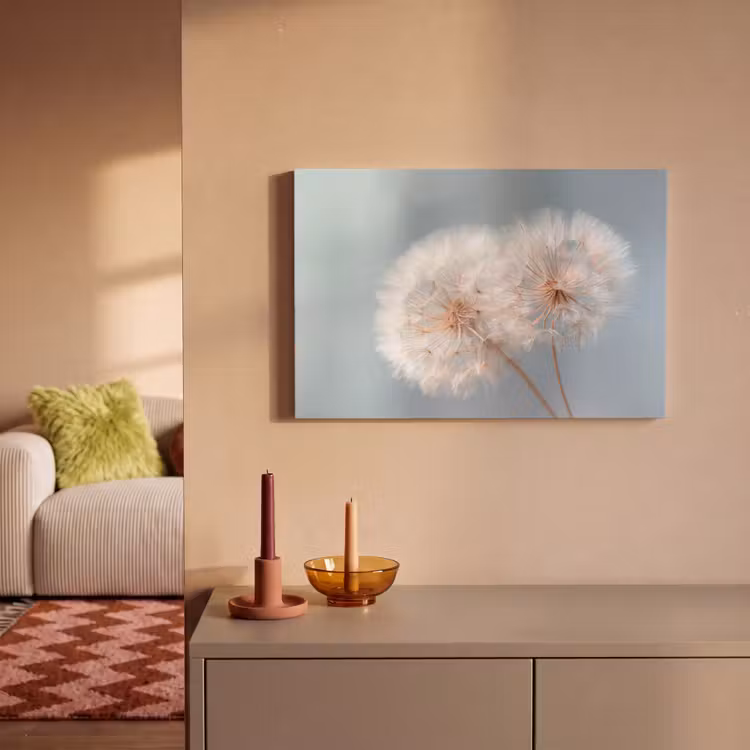 Paardenbloemen - Pluisjes - Wit canvas 2cm klein -sfeer1