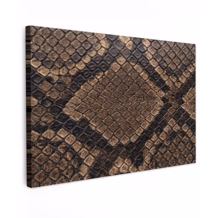Python - Schubben - Brons canvas 2cm klein -z3d