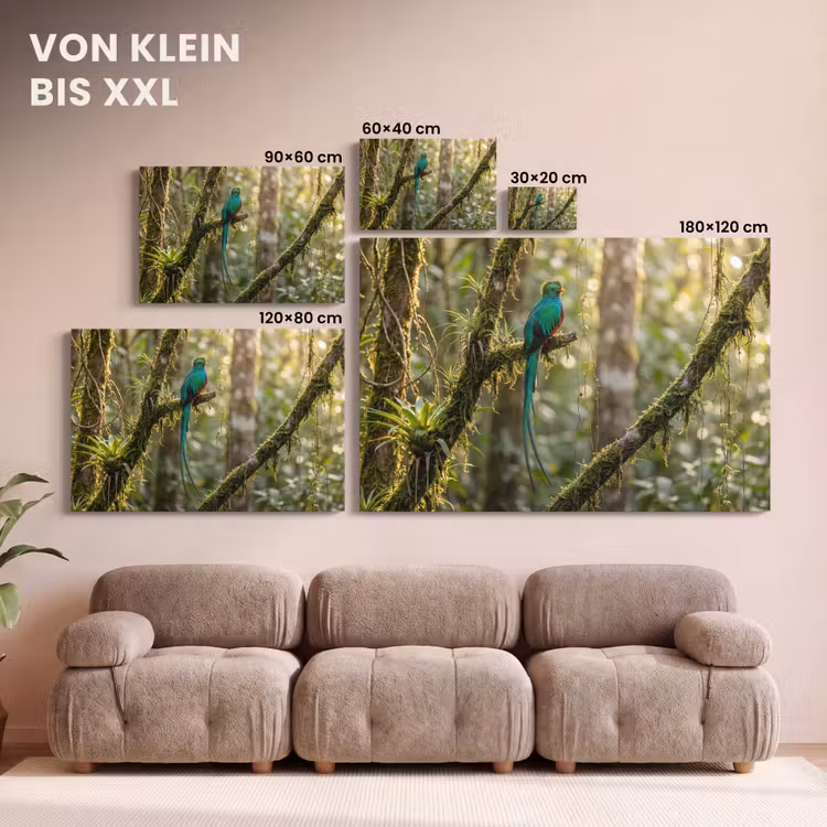 Quetzal - Jungle - Natuur - Groen canvas 2cm klein -Xsfeer8_DE