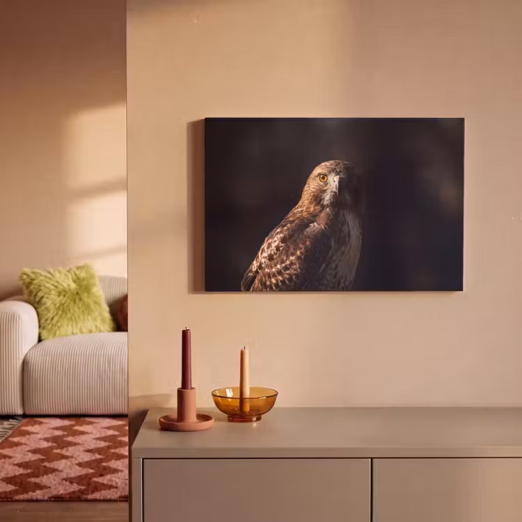Roofvogel - Buizerd - Bruin canvas 2cm klein -sfeer1
