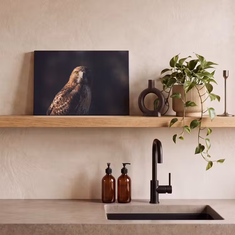 Roofvogel - Buizerd - Bruin canvas 2cm klein -closeup_print_DE