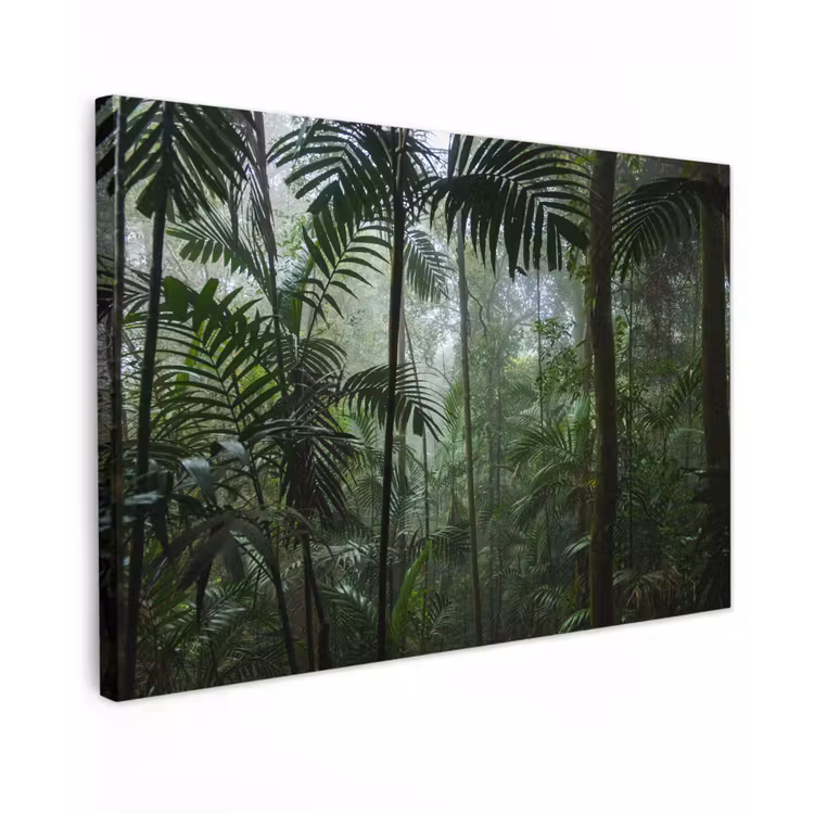 Regenwoud - Tropisch - Jungle - Bomen - Planten canvas 2cm klein -z3d