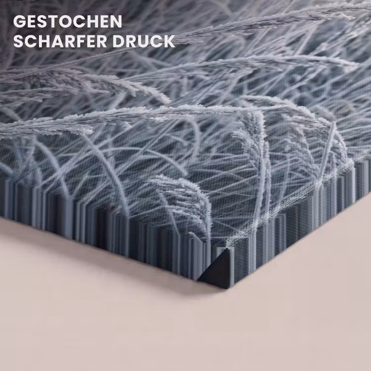 Rijp - Gras - Kristallen - Winter - Minimalistisch canvas 2cm klein -closeup_print_DE